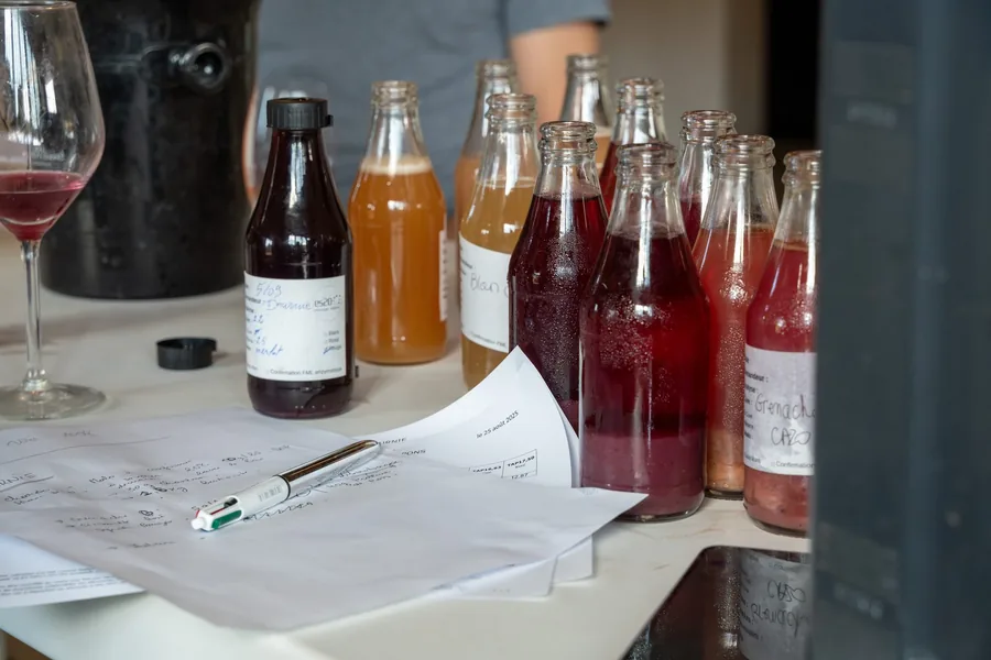 Le travail d'assemblage au chai du Mas Champart